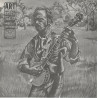 The Art Of The Mountain Banjo