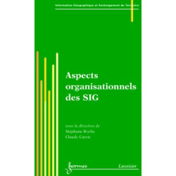 Aspects organisationnels des SIG