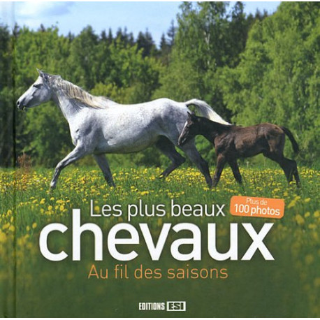 Les plus beaux chevaux : Au fil des saisons Les plus beaux chevaux : Au fil des saisons