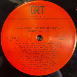 Instant Rice-The Best Of Bobby G
