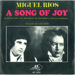 A Song Of Joy