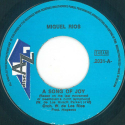 A Song Of Joy