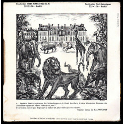 La Vie Des Animaux À Thoiry