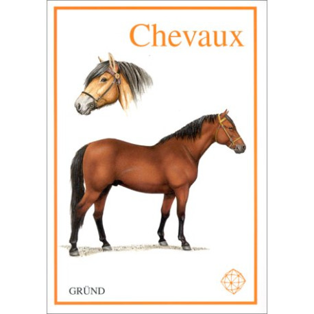 Les Chevaux Les Chevaux