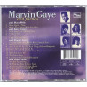 Mavin Gaye et Friends