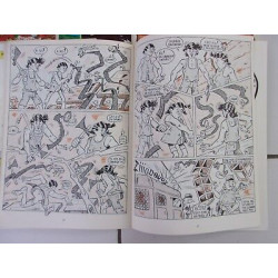 lot LES AVENTURES DE HIRO bd Tahitienne 10 numéros 1 2 3 4 5 7 8...