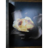 gratins Hachette cuisine