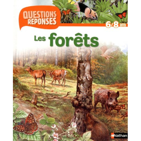 Les forêts Les forêts