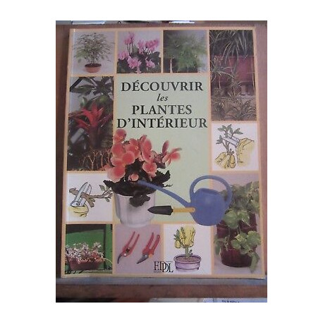 Découvrir les plantes d'intérieur