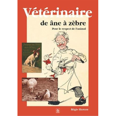 Vétérinaire de âne à zèbre : Pour le respect de l'animal Vétérinaire de âne à zèbre : Pour le respect de l'animal