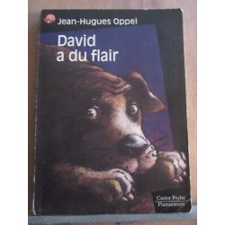 jean hugues oppel David a du flair flammarion castor poche