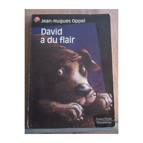 jean hugues oppel David a du flair flammarion castor poche