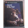 jean hugues oppel David a du flair flammarion castor poche