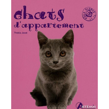 Chats d'appartement Chats d'appartement