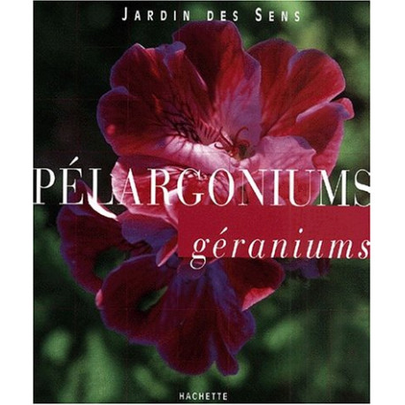 Pélargoniums Pélargoniums