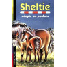 Sheltie Tome 22 : Sheltie adopte un poulain