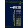 Higher?Order Processing in the Visual System