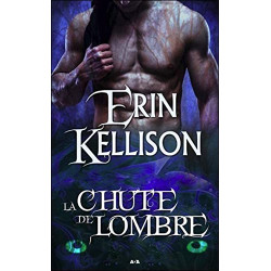 La chute de l'Ombre - Série de l'Ombre T2