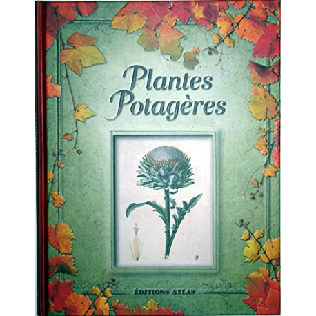 Plantes potagères Plantes potagères