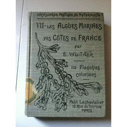 e wuitner vii les Algues Marines des cotes de Fr Paul lechevalier