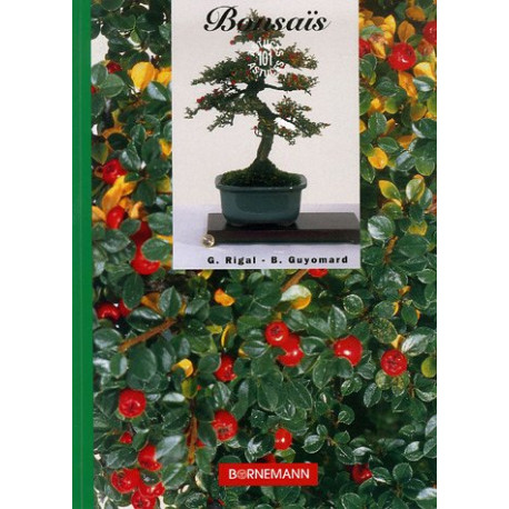 Les Bonsaïs Les Bonsaïs