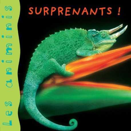 Les Animinis : Animaux surprenants Les Animinis : Animaux surprenants