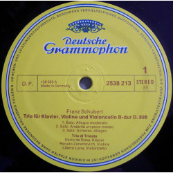 Klaviertrio B-dur / Sonatensatz B-dur