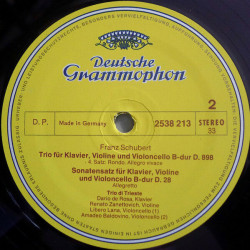 Klaviertrio B-dur / Sonatensatz B-dur