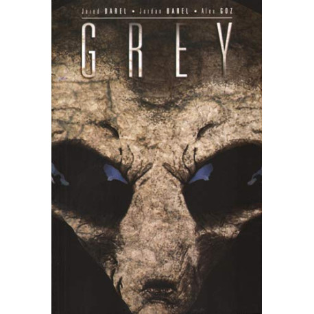 Grey T01 Grey T01