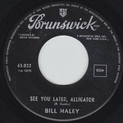 Rock Around The Clock / See You Later Alligator