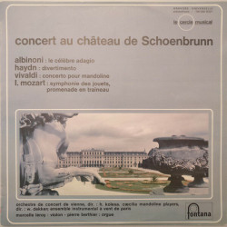 Concert Au Château De Schoenbrunn