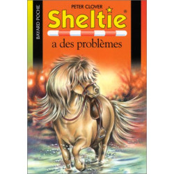 Sheltie a des problèmes