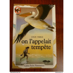 On l'appelait Tempête - Castor Poche
