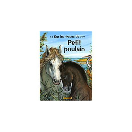 Sur les traces de Petit poulain
