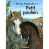Sur les traces de Petit poulain