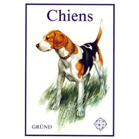 Chiens Chiens