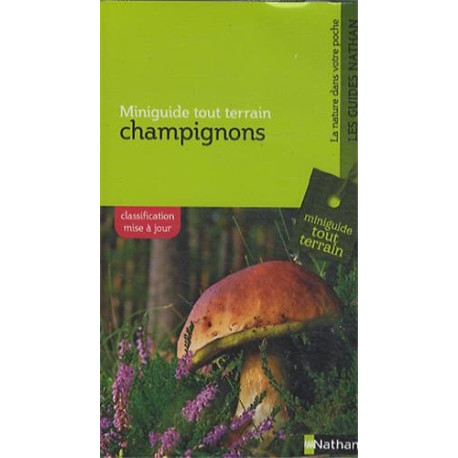 Champignons Champignons