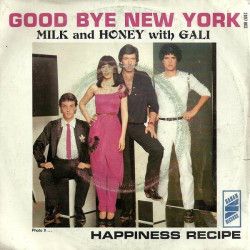 Good Bye New York / Happiness Recipe