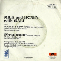 Good Bye New York / Happiness Recipe