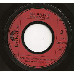 Rock Around The Clock / See You Later Alligator