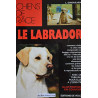 Le labrador