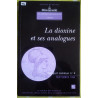 La dioxine : Et ses analogues