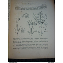 éléments courbes