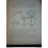 éléments courbes