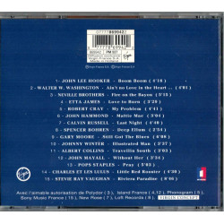 Downtown Blues By Chevignon "Le Meilleur Du Blues"