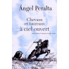 Chevaux et taureaux à ciel ouvert