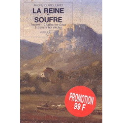 La reine du soufre. Challes-les Eaux à travers les siècles