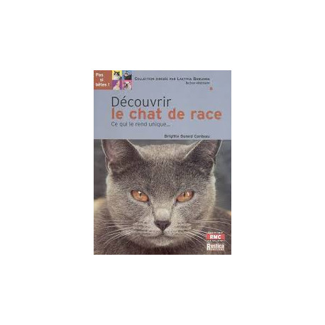Découvrir le chat de race Découvrir le chat de race