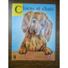 Chiens et chats illustrations de martinez