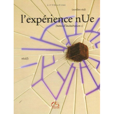 L'expérience nUe : (notes d'incinération I) L'expérience nUe : (notes d'incinération I)